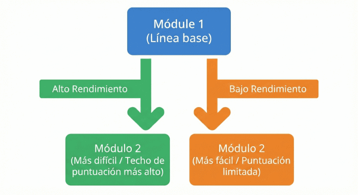 Diagrama de módulos adaptativos del Digital SAT